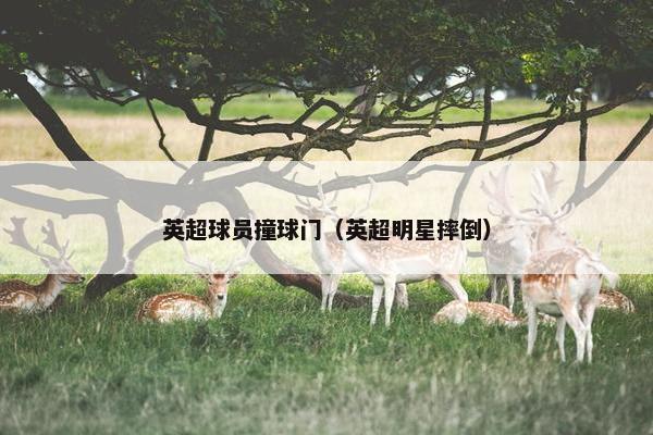 英超球员撞球门（英超明星摔倒）