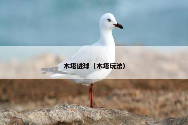 木塔进球（木塔玩法）