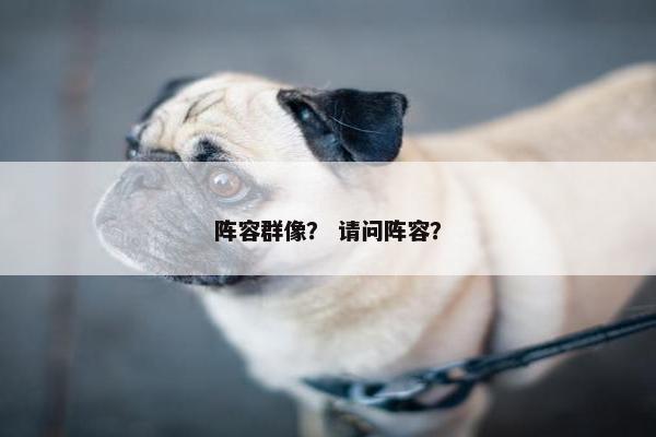 阵容群像？ 请问阵容？