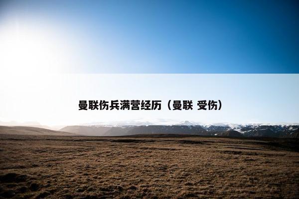 曼联伤兵满营经历（曼联 受伤）