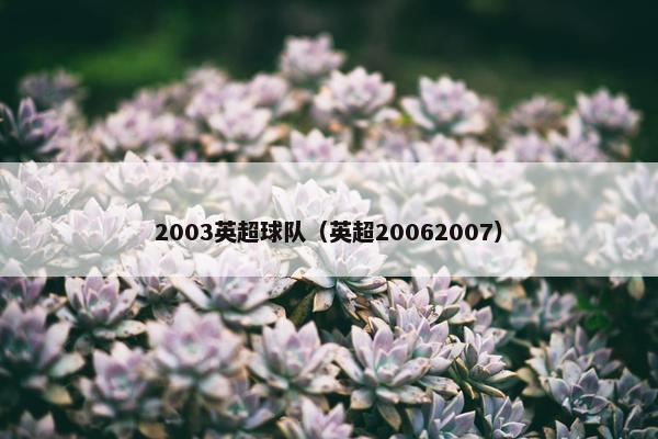 2003英超球队（英超20062007）