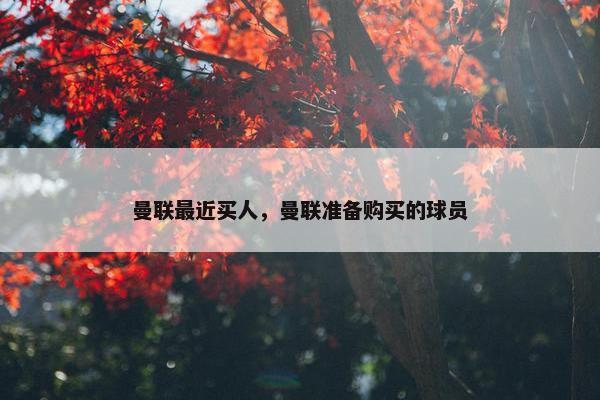 曼联最近买人，曼联准备购买的球员