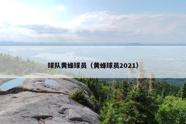 球队黄蜂球员（黄蜂球员2021）