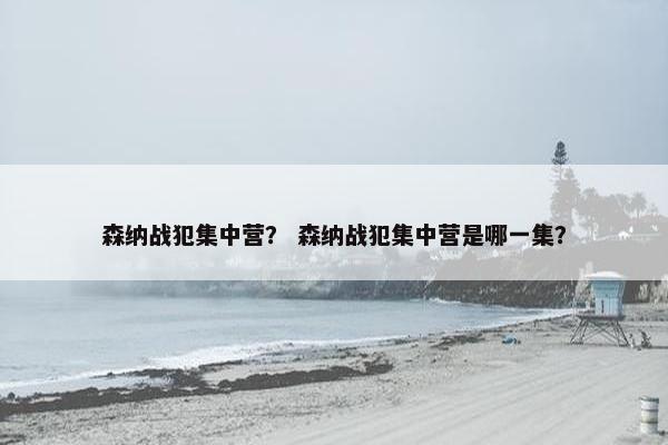 森纳战犯集中营？ 森纳战犯集中营是哪一集？