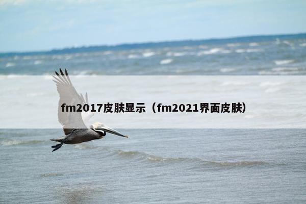 fm2017皮肤显示（fm2021界面皮肤）