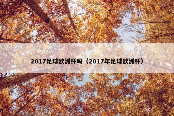 2017足球欧洲杯吗（2017年足球欧洲杯）