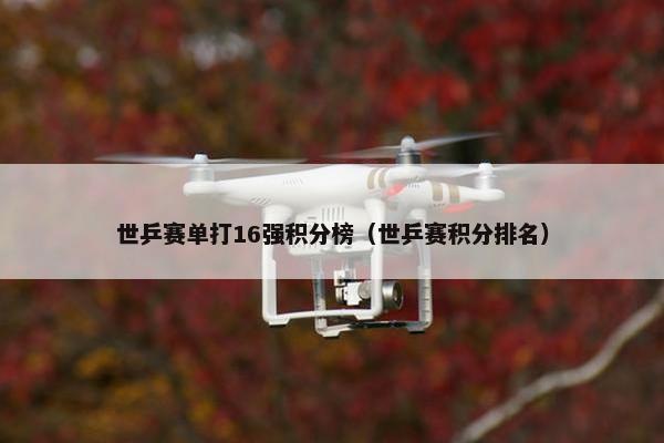 世乒赛单打16强积分榜（世乒赛积分排名）