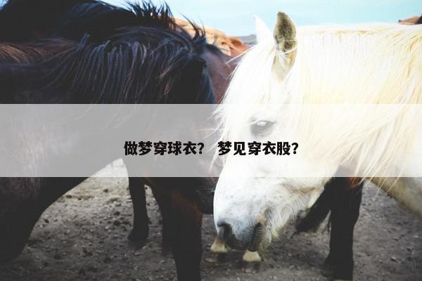 做梦穿球衣？ 梦见穿衣股？