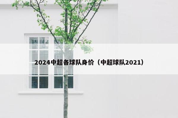 2024中超各球队身价（中超球队2021）