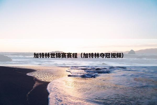 加特林世锦赛赛程（加特林夺冠视频）
