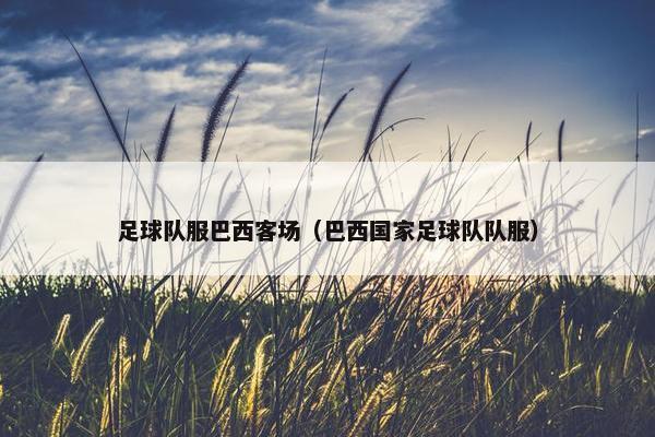 足球队服巴西客场（巴西国家足球队队服）