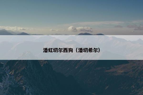 潘虹切尔西狗（潘切希尔）