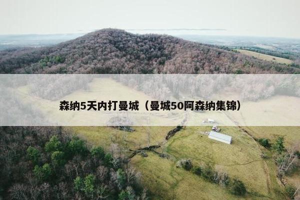 森纳5天内打曼城（曼城50阿森纳集锦）