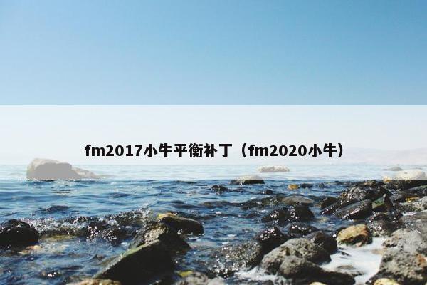 fm2017小牛平衡补丁（fm2020小牛）