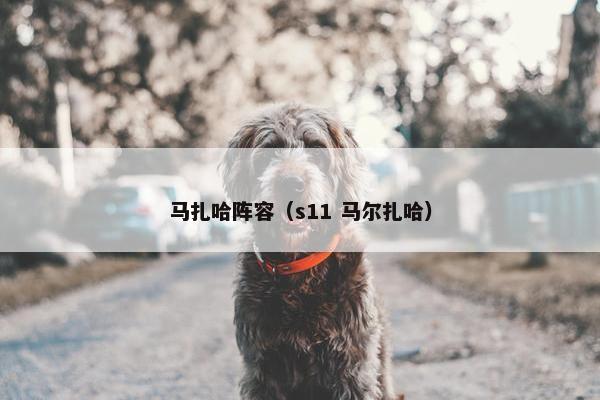 马扎哈阵容（s11 马尔扎哈）