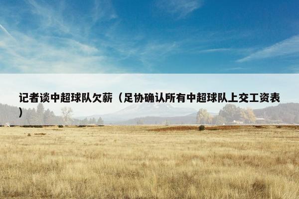 记者谈中超球队欠薪（足协确认所有中超球队上交工资表）