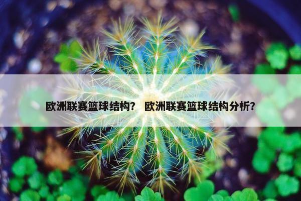 欧洲联赛篮球结构？ 欧洲联赛篮球结构分析？