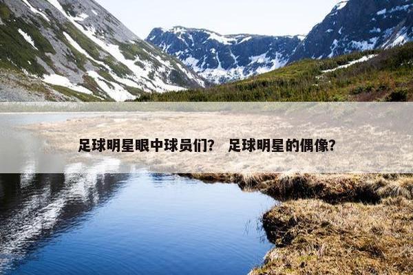 足球明星眼中球员们？ 足球明星的偶像？