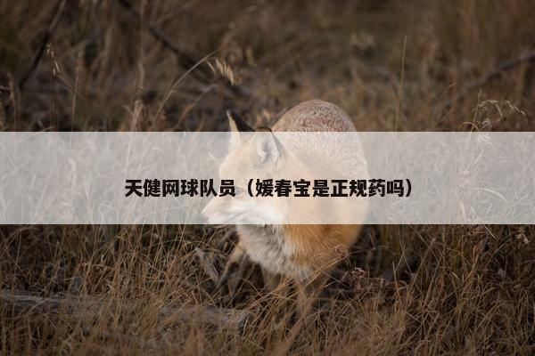 天健网球队员（媛春宝是正规药吗）