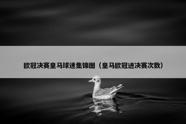 欧冠决赛皇马球迷集锦图（皇马欧冠进决赛次数）