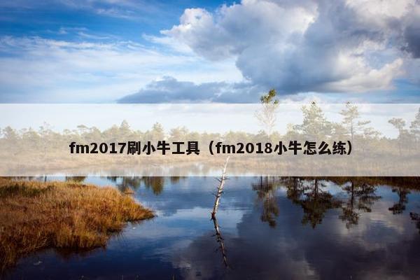 fm2017刷小牛工具（fm2018小牛怎么练）