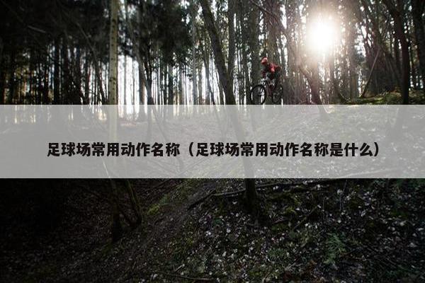 足球场常用动作名称（足球场常用动作名称是什么）