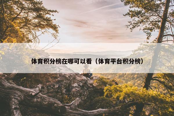体育积分榜在哪可以看（体育平台积分榜）