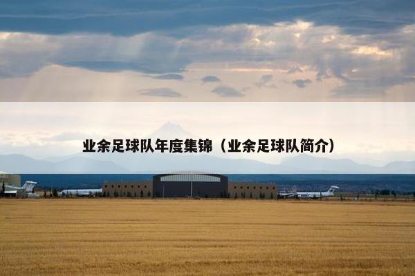 业余足球队年度集锦（业余足球队简介）