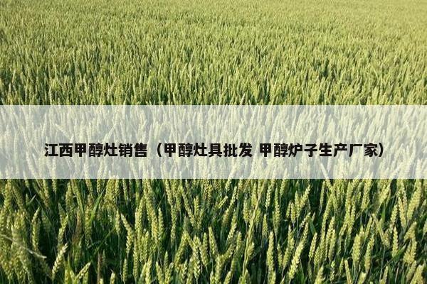 江西甲醇灶销售（甲醇灶具批发 甲醇炉子生产厂家）