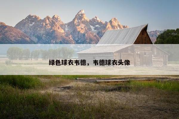 绿色球衣韦德，韦德球衣头像