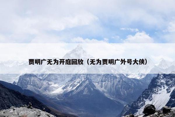 贾明广无为开庭回放（无为贾明广外号大侠）