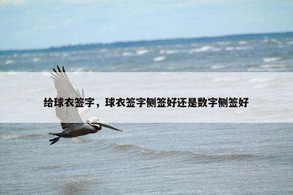 给球衣签字，球衣签字侧签好还是数字侧签好