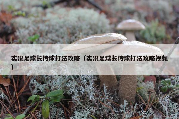 实况足球长传球打法攻略（实况足球长传球打法攻略视频）