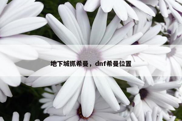 地下城抓希曼，dnf希曼位置