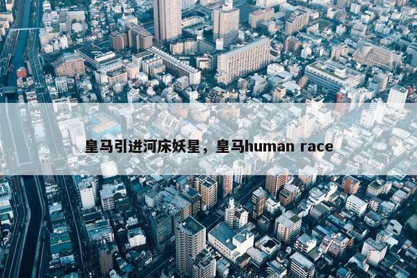 皇马引进河床妖星，皇马human race