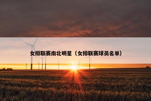 女排联赛南北明星（女排联赛球员名单）