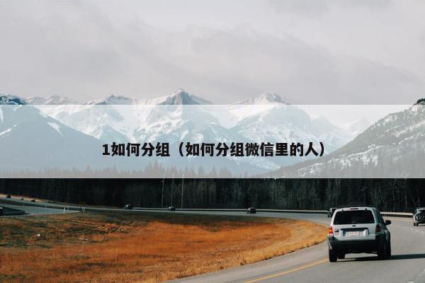 1如何分组（如何分组微信里的人）