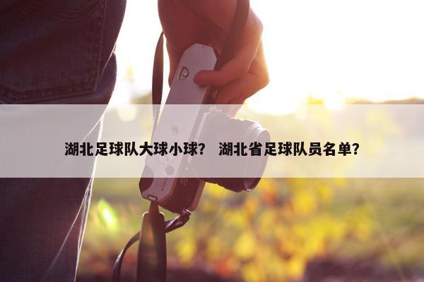 湖北足球队大球小球？ 湖北省足球队员名单？