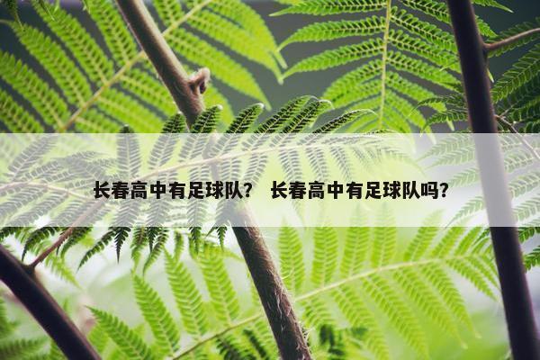 长春高中有足球队？ 长春高中有足球队吗？