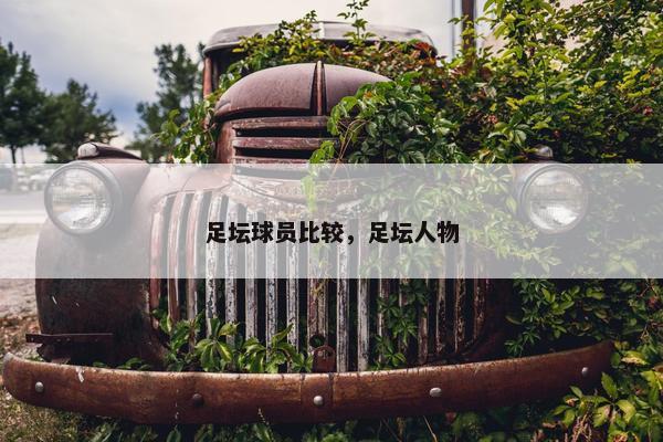足坛球员比较，足坛人物