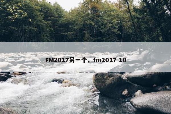 FM2017另一个，fm2017 10