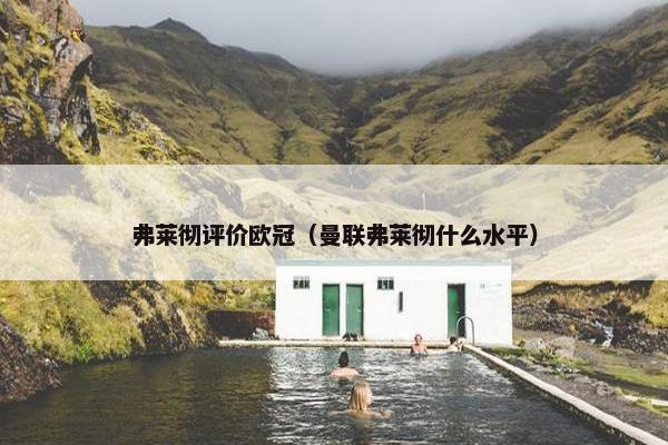弗莱彻评价欧冠（曼联弗莱彻什么水平）