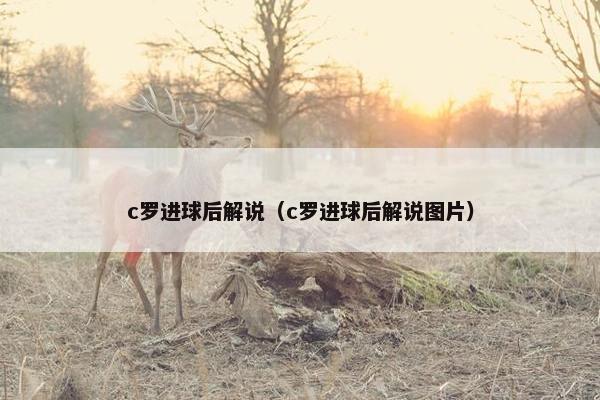 c罗进球后解说（c罗进球后解说图片）