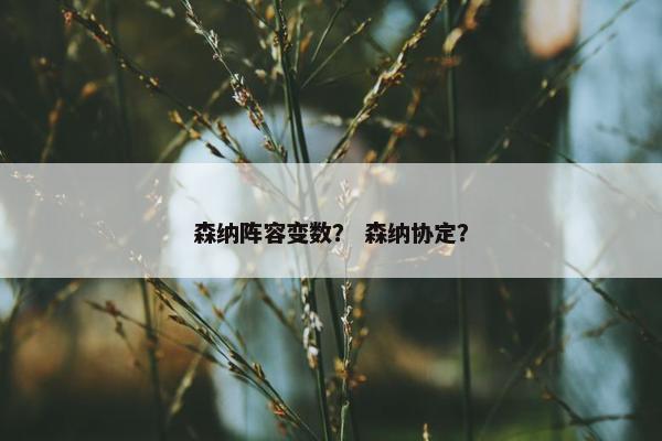 森纳阵容变数？ 森纳协定？