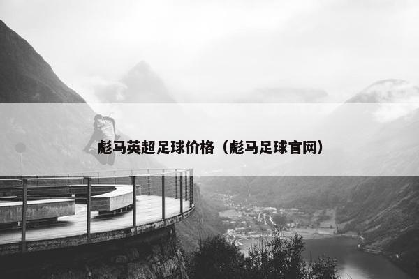 彪马英超足球价格（彪马足球官网）