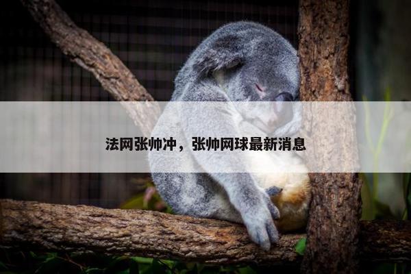 法网张帅冲，张帅网球最新消息