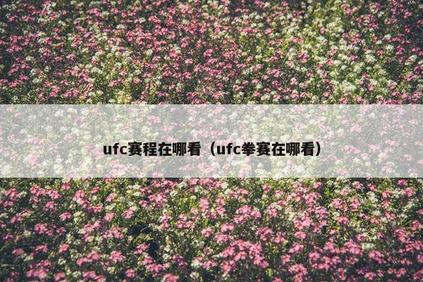 ufc赛程在哪看（ufc拳赛在哪看）