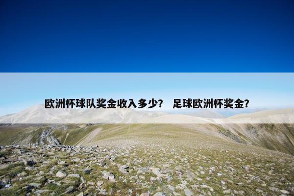 欧洲杯球队奖金收入多少？ 足球欧洲杯奖金？