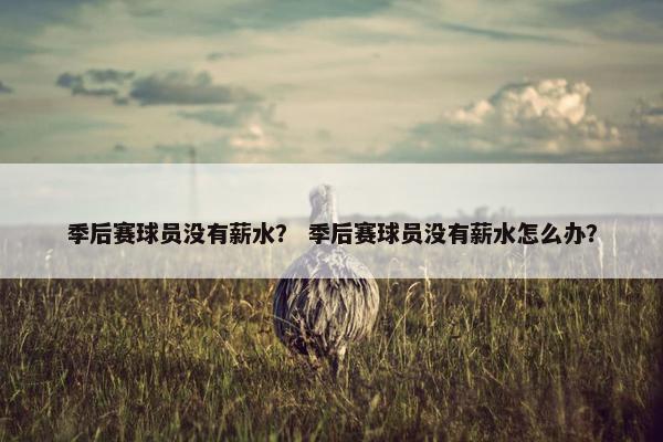 季后赛球员没有薪水？ 季后赛球员没有薪水怎么办？