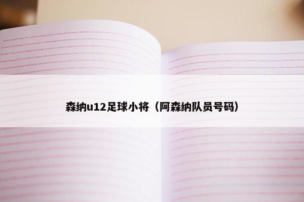 森纳u12足球小将（阿森纳队员号码）